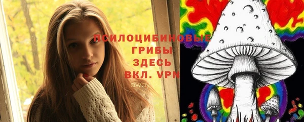 не бодяженный Алзамай