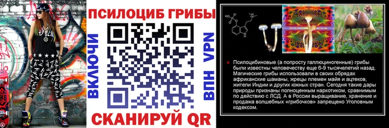 Галлюциногенные грибы мицелий  Мичуринск 