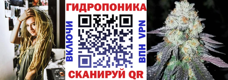 МАРИХУАНА AK-47  blacksprut вход  Мичуринск  купить наркотики сайты 